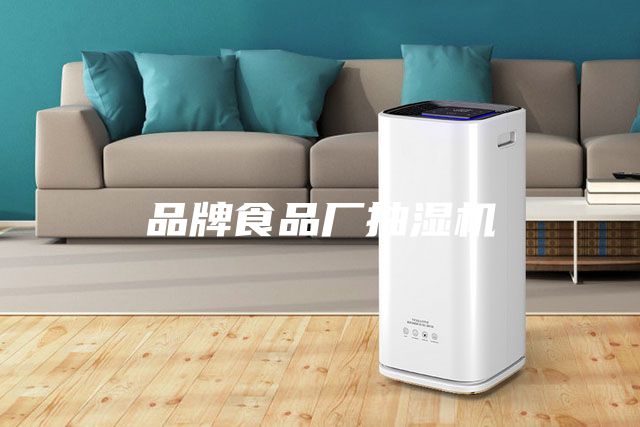 品牌食品厂抽湿机